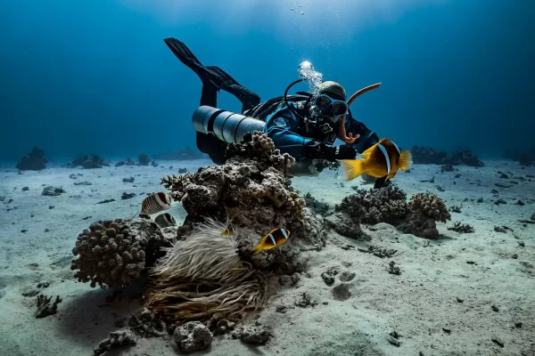 Maldives scuba diving