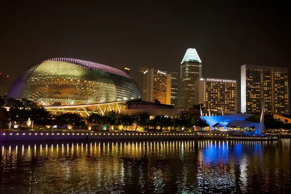 Singapore Night Safari wildlife experience